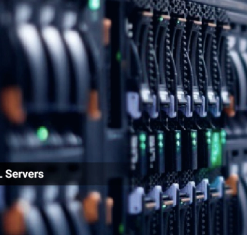 Cluster of MySQL Servers  SASCSI Cheetah 240MBs 